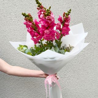 ხუთი ანტირინუმი 2091