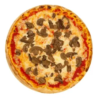 FUNGHI