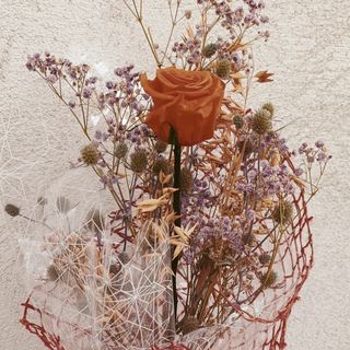 Rosa preservada "naranja" 