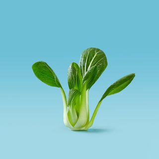Pak Choi
