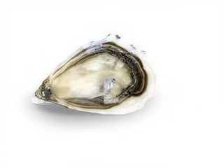 Бодюз № 4