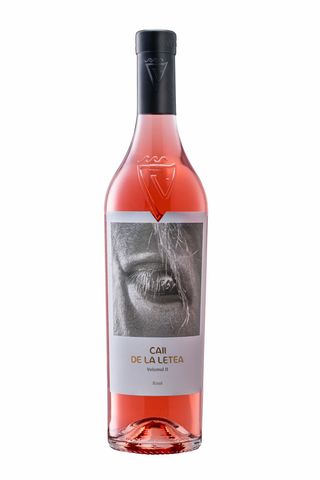 Caii de la Letea vol II  0.750ml