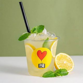 ლიმონათი ლიმონით და პიტნით 0.3ლ.