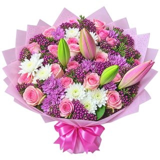 Pink Lily Splendor