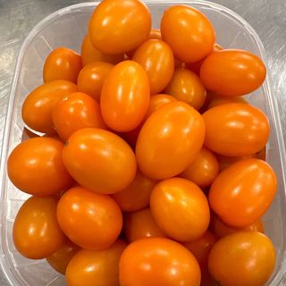  Pomodoro Datterini gialli 500gr
