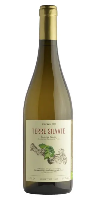 Verdicchio  Terre Silvate  - La Distesa     "VINI NATURALI"    