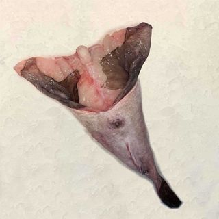 Cola De Rape Piel Negra Galicia (1.4 Kg.)