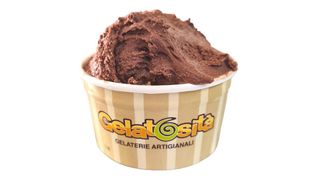 Gelato ipocalorico  per diabetici  di cioccolato senza lattosio 250gr