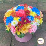 ფერადი ქრიზანთემები ყუთში