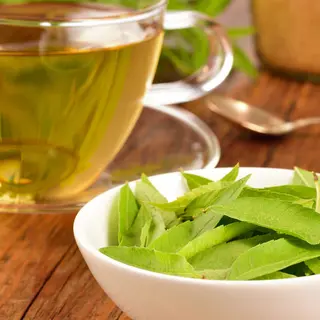 Verveine