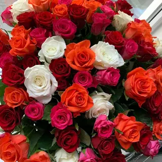 Bouquet de 25 roses mélanges 