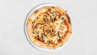 Funghi