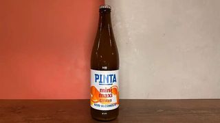 PINTA MINI MAXI CITRUS