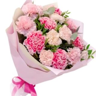 Bukiet Gożdzików dużych pojedynczych