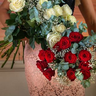 Ramo de 12 Rosas Rojas