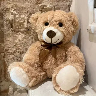 Teddy Cariñoso