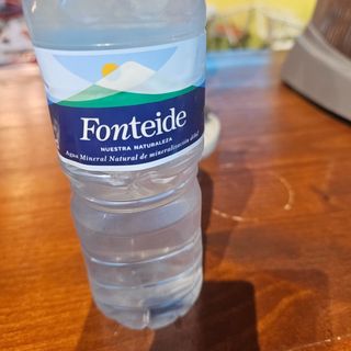 Agua Natural (500 Ml.)