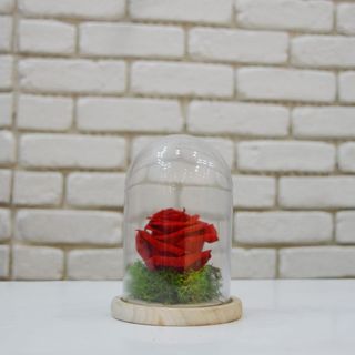 Cupola trandafir criogenat