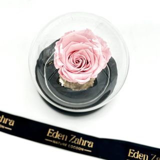 Cloche Eternal Rose