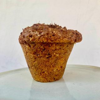 Carrot Cake Muffin (V)