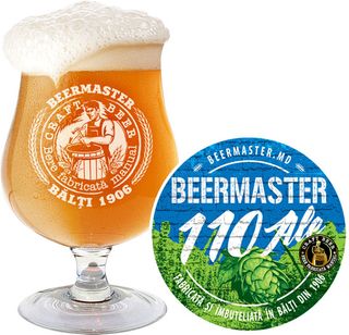 Beermaster Ale 110