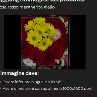 Rose rosse margherite gialle