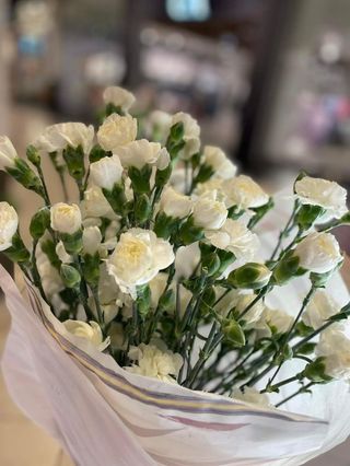 21szt - białe goździki 