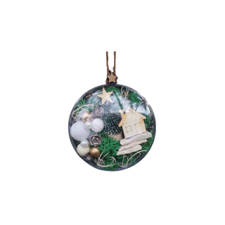 Decoratiuni Craciun, cod ARC550