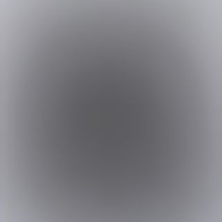 arroz frito con huevo