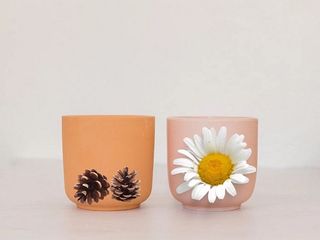 Чай шишки та ромашка (400ml)