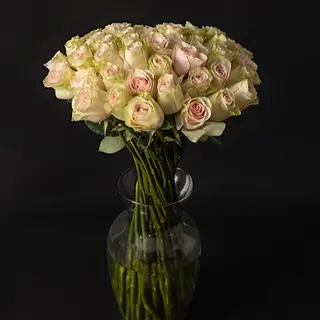 Ramo de 50 rosas frutetto