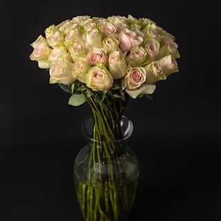 Ramo de 50 rosas frutetto