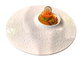 304-Tartare Passion Fruit