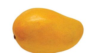 Mango Pequeño  1 Kg Aprox