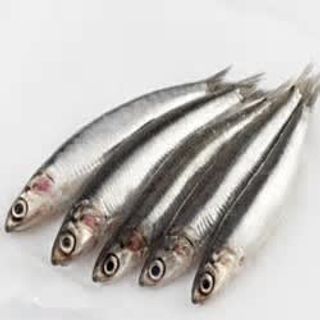 Boquerón Nacional Gordo <40 Pzas/Kg. <40 Pzas/Kg.