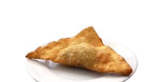 9-Wonton frito