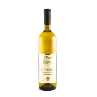 Plantaže Sauvignon