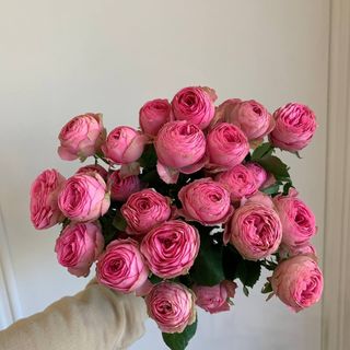 Букет з 7 кущових троянд Giselle 