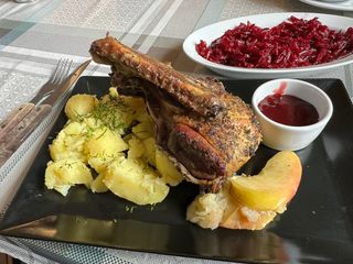 Kaczka ćwiartka przednia