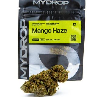 Mango Haze 1Gr.