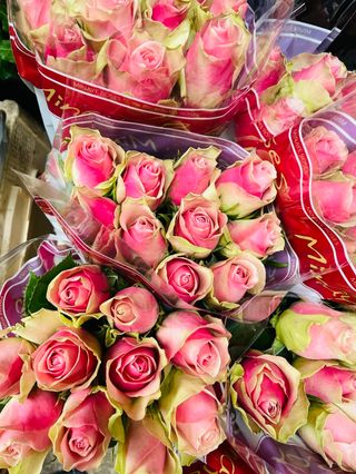 MAZZO DI 11 ROSE ROSA