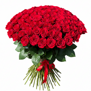 Passion Royale (Roses Rouges)
