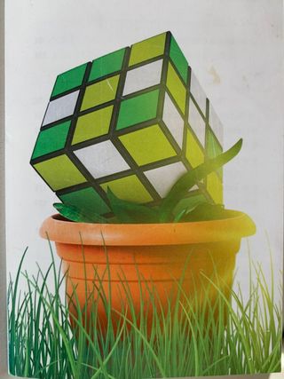 CREA TU CACHOPO VEGGIE