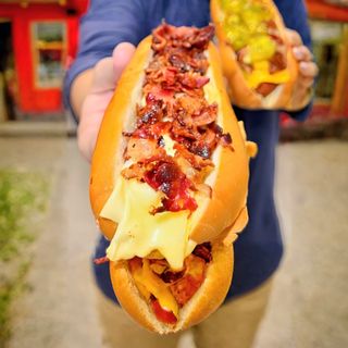 Perrito con Bacon