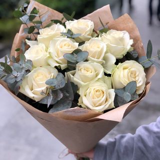 White Roses 