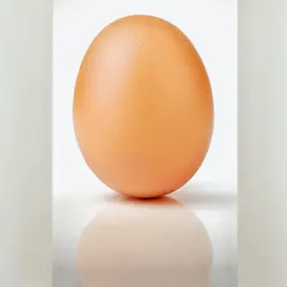 Jaje