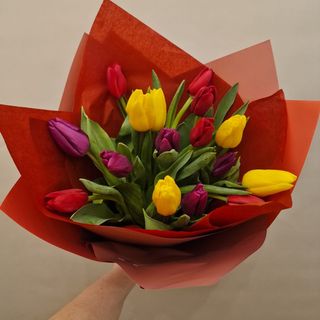 Buchet  15 Lalele Multicolor