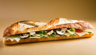 Panino pollastro