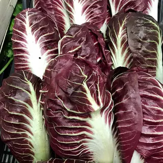 Radicchio 1 pezzo