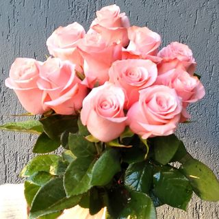 Buchet cu 11 trandafiri roz